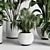 Modern Indoor Plant Collection Vase 3D model small image 6