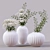 Modern Ceramic Indoor Plants Set 3D model small image 1