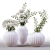 Modern Ceramic Indoor Plants Set 3D model small image 2