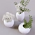 Modern Ceramic Indoor Plants Set 3D model small image 3