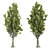 High PBR Poplar Trees Bundle 3D model small image 3