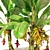 Banana Tree Cluster 3D Model 3D model small image 2