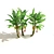 Banana Tree Cluster 3D Model 3D model small image 5