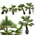 Exotic Borassus Flabellifer Garden Plant 3D model small image 1