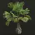 Exotic Borassus Flabellifer Garden Plant 3D model small image 2