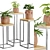 Exotic Facepot Plants Set with Stand 3D model small image 6