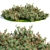 Oleander Grass Garden Model_RENDER_READY 3D model small image 1