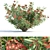 Oleander Grass Garden Model_RENDER_READY 3D model small image 5