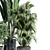 Modern Indoor Plant Collection Set 3D model small image 4