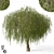 Giant Tree Model - 1150cm 3D model small image 2