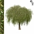 Giant Tree Model - 1150cm 3D model small image 4