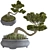 Japanese Indoor Bonsai Tree 3D model small image 1