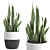 Sansevieria 3D Model | Modern Botanical 3D model small image 1