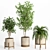 Modern Indoor Plant Set 029 3D model small image 3