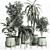 Modern Indoor Plant Set 029 3D model small image 1