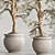 Modern Indoor Plant Set 69 3D model small image 6