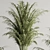 Botanical Greenery Collection 71 3D model small image 5