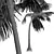 Tropical Coconut Palm Tree Model 3D model small image 4
