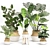 Greenery Essence 3D Indoor Plant 3D model small image 1