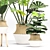 Greenery Essence 3D Indoor Plant 3D model small image 3