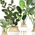 Greenery Essence 3D Indoor Plant 3D model small image 4