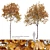 Autumn Norway Maple Tree Pair 3D model small image 1