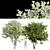 3D Water Gum & Amelanchier Models 3D model small image 1