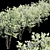 3D Water Gum & Amelanchier Models 3D model small image 4