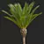 Majestic Phoenix Canariensis Decorative Palm 3D model small image 3