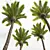 Majestic Phoenix Canariensis Decorative Palm 3D model small image 4