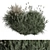 Assorted Bush Variety Collection 94 3D model small image 1