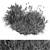 Assorted Bush Variety Collection 94 3D model small image 4