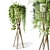 Hanging Plant Stand with Plants 3D model small image 1