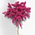 Bougainvillea Decorative Shrubs Kit 3D model small image 1