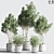 Botanical Modern Indoor Plant Set 3D model small image 1