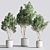 Botanical Modern Indoor Plant Set 3D model small image 2