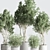 Botanical Modern Indoor Plant Set 3D model small image 4