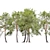 Scots Pine Tree 3D Model 3D model small image 3