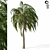 Tropical Palm Tree Model PBR 3D model small image 1