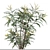 Mahonia Media Plant Pair-Enlivens Gardens 3D model small image 2