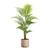 Exotic Indoor Plant Variety Pack 3D model small image 6