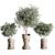  Concrete Vase Indoor Plant Collection 3D model small image 3