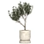 Vray-Rendered Ramin Tree Model 3D model small image 2