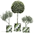 Vray-Rendered Ramin Tree Model 3D model small image 5