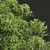 Smooth Summer Tree 3D Models 3D model small image 2