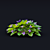 Fragrant Viola Bushes Bundle 3D model small image 7