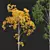 Trembling Aspen Tree Models 3D model small image 2