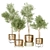 Modern Indoor Plant Collection 122 3D model small image 1