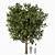 High Detail 3D Tree Model 3D model small image 1