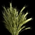  Green Wheat Spikelet Vase 3D model small image 2